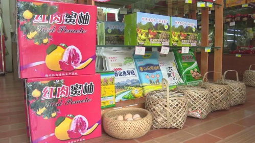 農村電商網紅助力農產品熱銷，促進農民增收致富